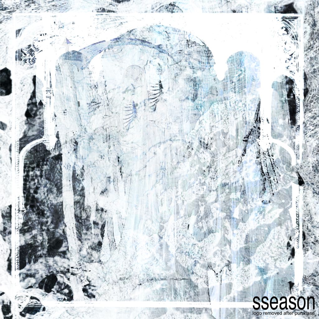 cover.art41