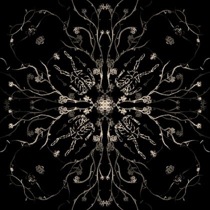 cover.art0