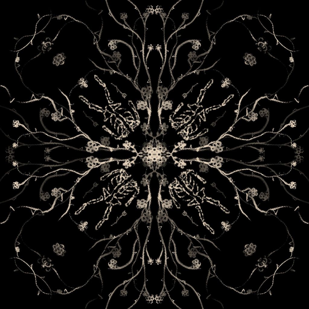 cover.art0